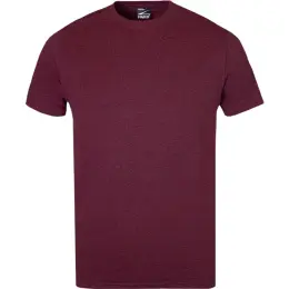 FWRD Premium T-Shirt Melange Burgundy Melange
